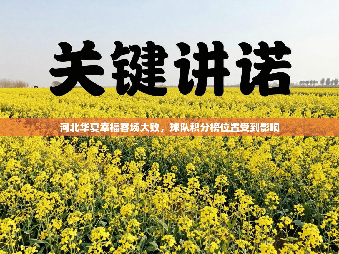 开云体育app安装-河北华夏幸福客场大败，球队积分榜位置受到影响  第3张