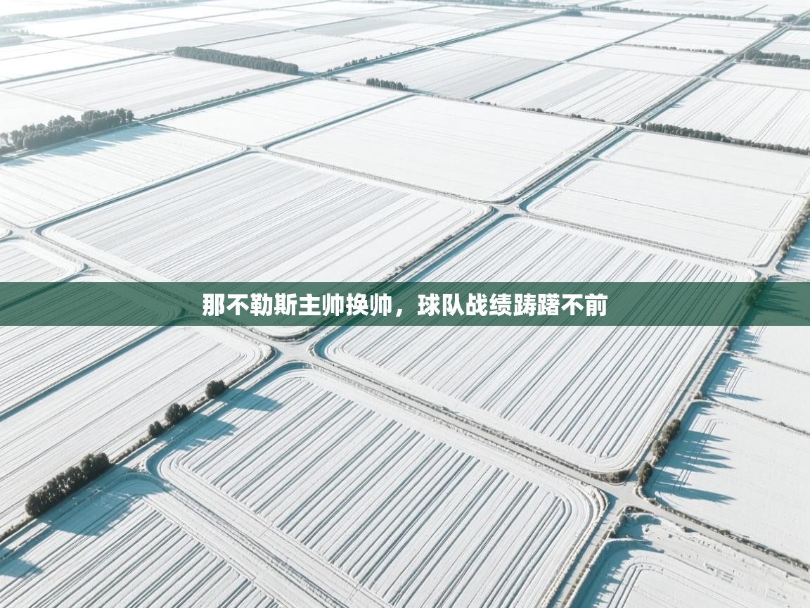 开云体育在线入口-那不勒斯主帅换帅,球队战绩踌躇不前 第3张