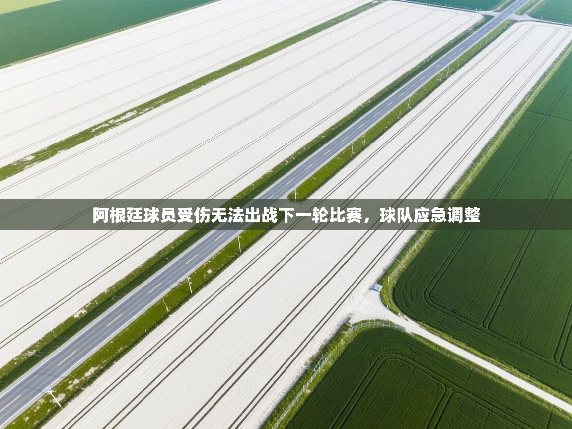 云开体育官方网站登录-阿根廷球员受伤无法出战下一轮比赛，球队应急调整  第2张