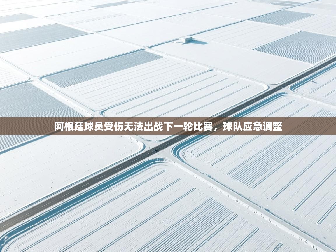 云开体育官方网站登录-阿根廷球员受伤无法出战下一轮比赛，球队应急调整  第4张